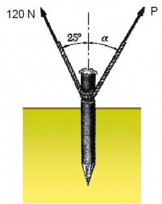 figura.jpg