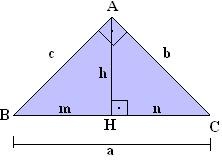 Relacoes metricas.jpg