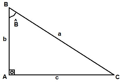 trigo1.JPG