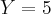 Y=5