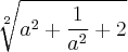 \sqrt[2]{a^{2}+\frac{1}{a^{2}}+2}