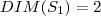 DIM({S}_{1})=2