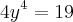 4{y}^{4}=19