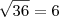 \sqrt {36} = 6 \sqrt {36} = 6
