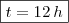 \boxed{t=12\, h}