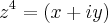 {z}^{4}=\left(x+iy \right)