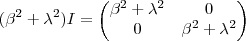 (\beta^2 + \lambda^2)I= \begin{pmatrix}\beta^2 + \lambda^2 & 0\\ 0 & \beta^2 + \lambda^2 \end{pmatrix}