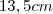 13,5cm 13,5cm