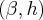 \left(\beta,h \right) \left(\beta,h \right)