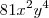 81x^2 y^4