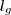 l_g