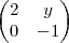 \begin{pmatrix}
   2 & y    \\    
   0 & -1    \\ 
   
\end{pmatrix}