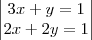 \begin{vmatrix}
3x+y=1 \\ 
2x+2y=1
\end{vmatrix}