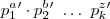 {p}_{1}^a\textquoteright \cdot {p}_{2}^b\textquoteright \ \dots \ {p}_{k}^z\textquoteright {p}_{1}^a\textquoteright \cdot {p}_{2}^b\textquoteright \ \dots \ {p}_{k}^z\textquoteright