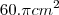 60.\pi cm^2