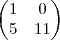 \begin{pmatrix}
   1 & 0  \\ 
   5 &  11
\end{pmatrix}