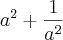 a{}^{2}+\frac{1}{a{}^{2}} a{}^{2}+\frac{1}{a{}^{2}}