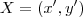 X = (x',y')