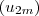 (u_{2m}) (u_{2m})