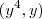 (y^4,y) (y^4,y)