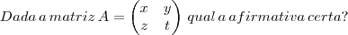 Dada \,a\, matriz\, A=\begin{pmatrix}
                        x & y  \\ 
                        z & t
                       \end{pmatrix} \, qual\, a \,afirmativa \,certa?\,