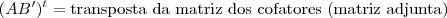 (AB')^{t} = \mbox{transposta da matriz dos cofatores (matriz adjunta)}