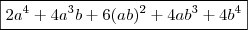 \boxed{2a^4 +4a^3b + 6(ab)^2 + 4ab^3 + 4b^4} \boxed{2a^4 +4a^3b + 6(ab)^2 + 4ab^3 + 4b^4}