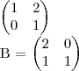 \begin{pmatrix}
   1 & 2  \\ 
   0 & 1 
\end{pmatrix}

B = 
\begin{pmatrix}
   2 & 0  \\ 
   1 & 1 
\end{pmatrix}