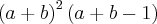 {(a+b)}^{2}\left(a+b-1 \right) {(a+b)}^{2}\left(a+b-1 \right)