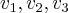 {v}_{1},{v}_{2},{v}_{3} {v}_{1},{v}_{2},{v}_{3}