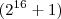 ({2}^{16}+1) ({2}^{16}+1)