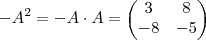 -A^2 = -A \cdot A = \begin{pmatrix}3& 8 \\ -8 & -5 \end{pmatrix}