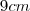 9cm