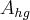 {A}_{hg} {A}_{hg}