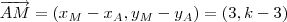 \overrightarrow{AM} = (x_M - x_A , y_M - y_A) = (3, k-3) \overrightarrow{AM} = (x_M - x_A , y_M - y_A) = (3, k-3)