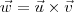\vec{w}=\vec{u}\times\vec{v} \vec{w}=\vec{u}\times\vec{v}
