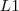 L1 L1