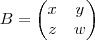 B = \begin{pmatrix}
   x & y  \\ 
   z & w
\end{pmatrix}