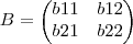 B=\begin{pmatrix}
   b11 & b12  \\ 
   b21 & b22 
\end{pmatrix}