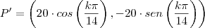P' = \left(20 \cdot cos\left(\frac{k \pi}{14}\right), -20 \cdot sen\left(\frac{k \pi}{14}\right) \right) P' = \left(20 \cdot cos\left(\frac{k \pi}{14}\right), -20 \cdot sen\left(\frac{k \pi}{14}\right) \right)