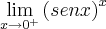\lim_{x\rightarrow {0}^{+}} {(senx)}^{x} \lim_{x\rightarrow {0}^{+}} {(senx)}^{x}