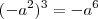 (-a^2)^3 = -a^6