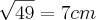\sqrt[]{49}=7cm