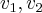 {v}_{1},{v}_{2}