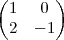 \begin{pmatrix}
1 & 0\\
2 & -1
\end{pmatrix} \begin{pmatrix}
1 & 0\\
2 & -1
\end{pmatrix}