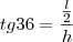 tg 36=\frac{\frac{l}{2}}{h}