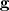 \mathbf{g} \mathbf{g}