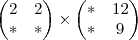 \begin{pmatrix}
   2 & 2 \\ 
   * & * 
\end{pmatrix}
\times 
\begin{pmatrix}
   * & 12  \\ 
   * & 9 
\end{pmatrix}