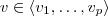 v \in \langle v_1, \ldots, v_p \rangle