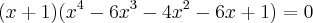 (x+1)(x^4-6x^3-4x^2-6x+1)=0